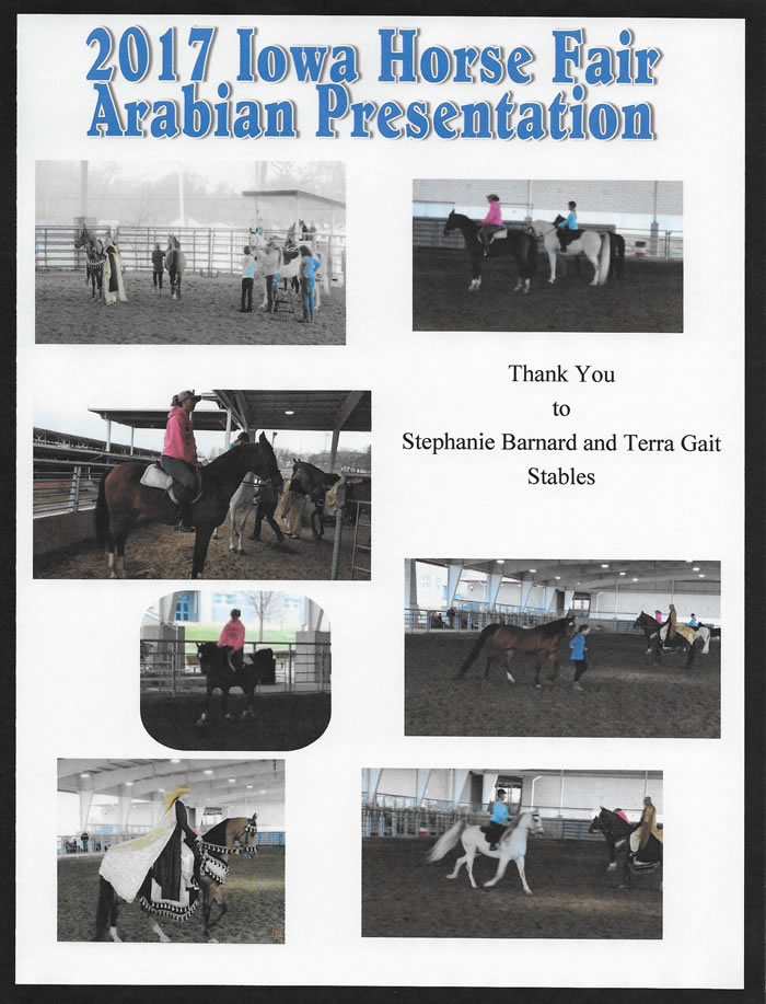 Iowa Horse Fair 2017